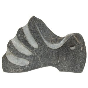 Arnaldo Rodrigues das Neves Jr.