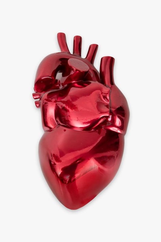 corac?a?o sonia menna barreto