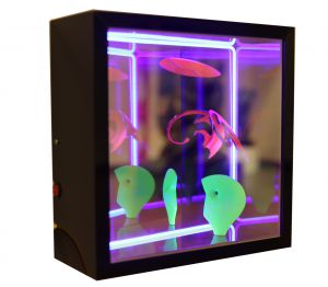 86476_fernando_cardoso_33 x 33 x 13