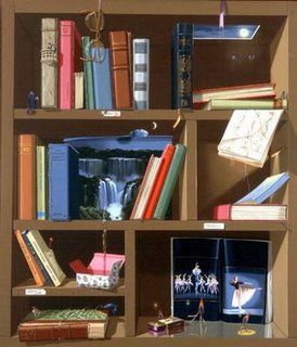 sonia_MENNA_barreto_estante_serigrafia