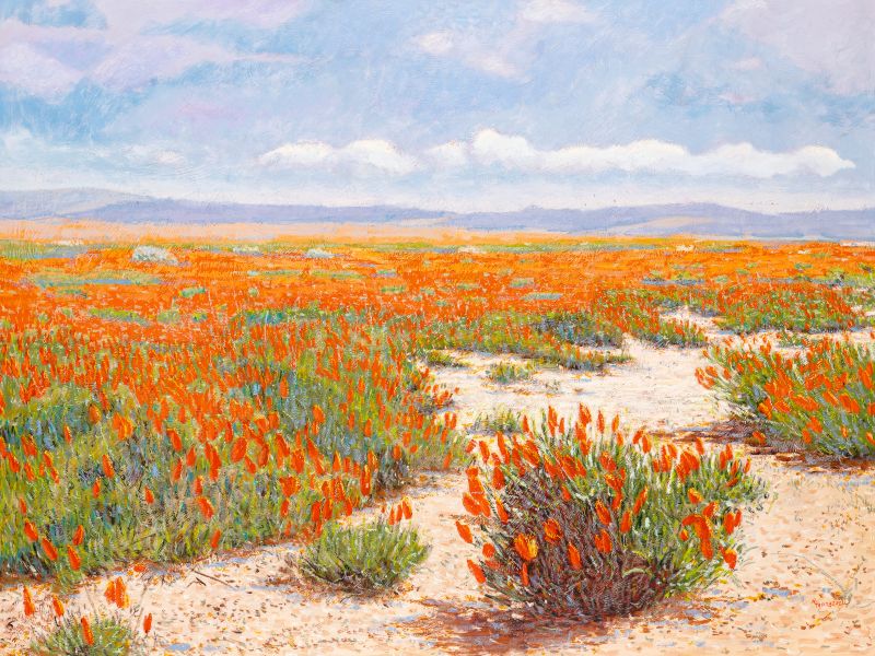 Monogrficas 6 e 7 - Augusto Marx e Raquel Taraborelli