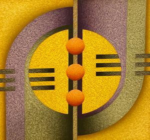 Jose Roberto Da Silva