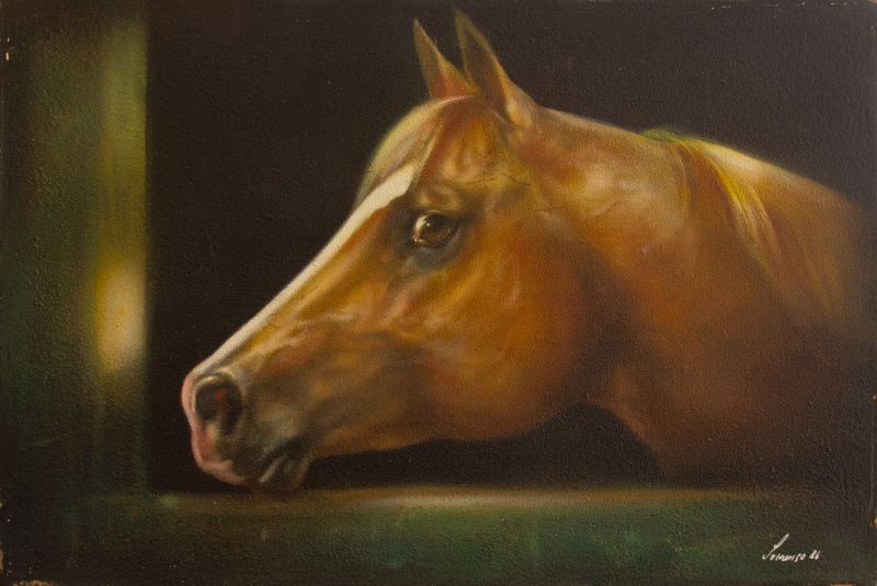 Jos Toledo Piza Loureno Jnior - CABECA DE UM CAVALO