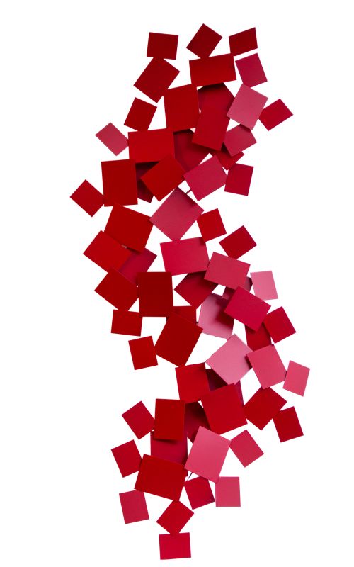 Jos Munhoz - Descolados