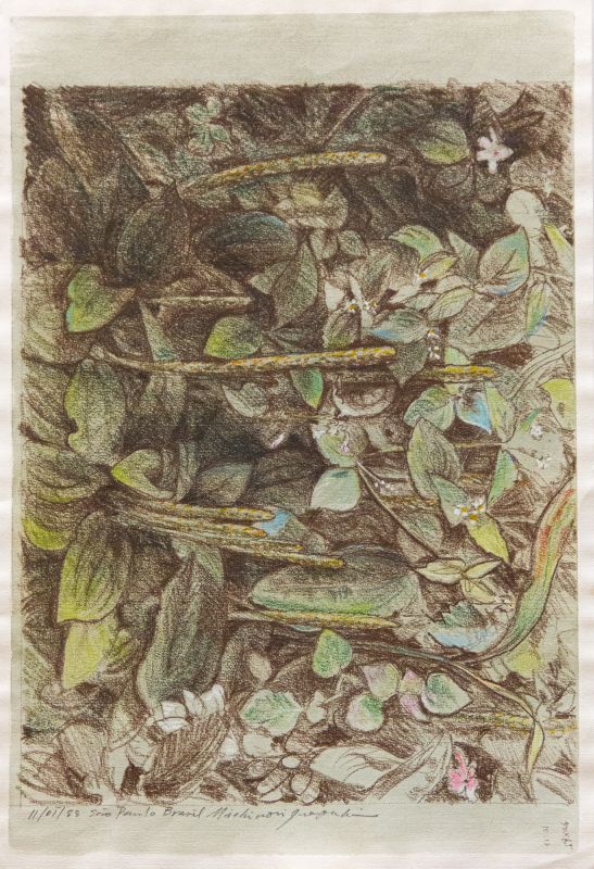 Michinori Inagaki