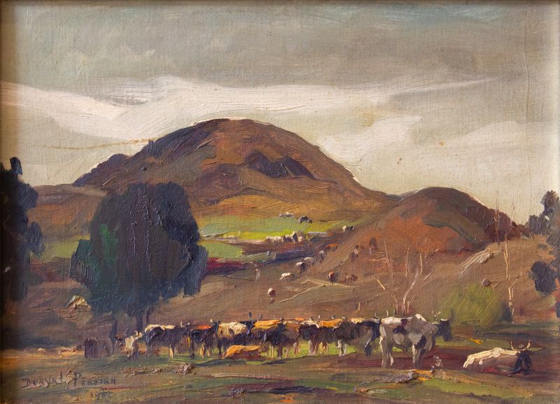 Durval Pereira - Sem t�tulo