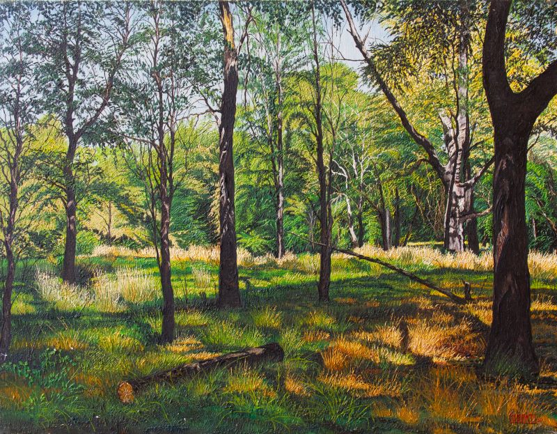 Patrick Thomas Guerati - DENTRO DA FLORESTA