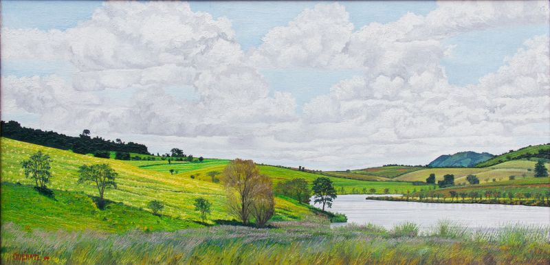 Patrick Thomas Guerati - VERAO, SUL DE MINAS