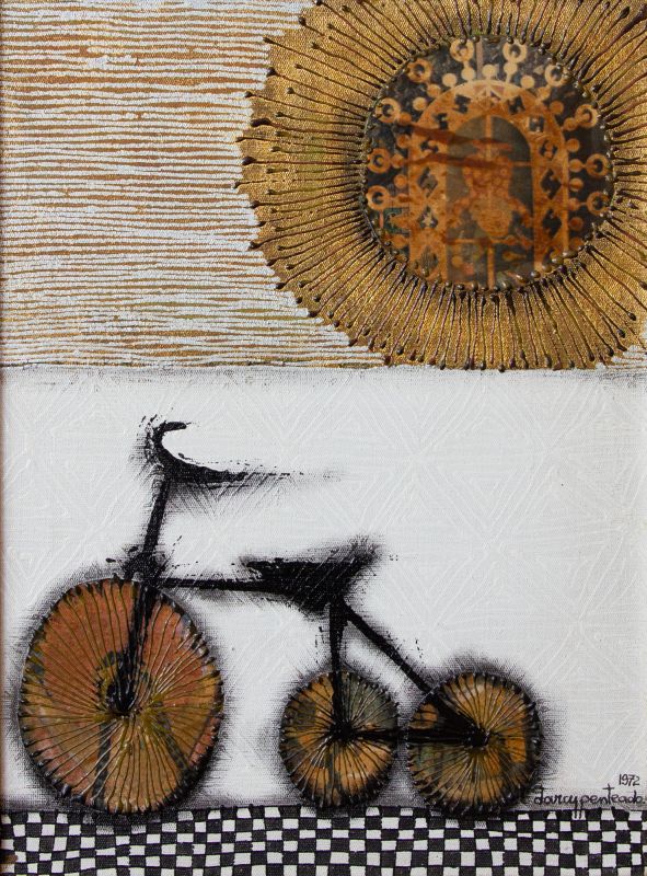 Darcy Penteado - Sol e bicicleta