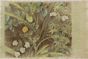 Michinori Inagaki - S�o Paulo Brasil, 04/01/88