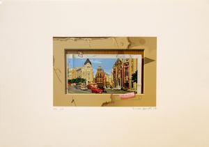 S�nia Menna Barreto - Not for sale