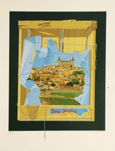 S�nia Menna Barreto - Toledo