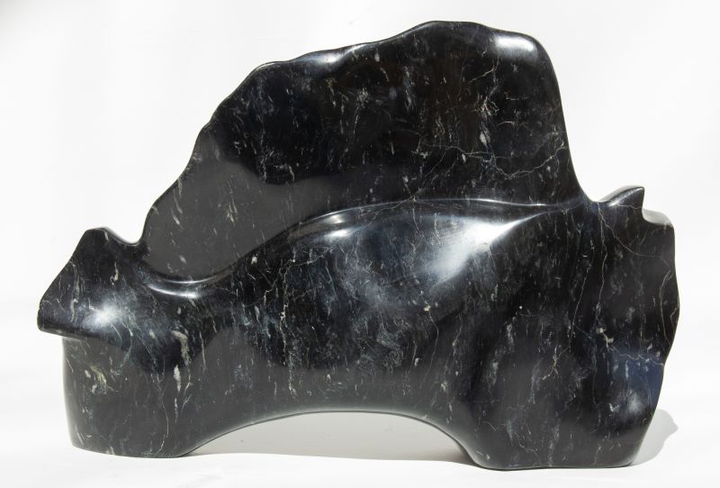 Arnaldo Rodrigues das Neves Jr. - Peixes da Jureia I