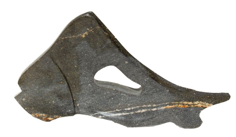 Arnaldo Rodrigues das Neves Jr. - Peixes da Jureia IV